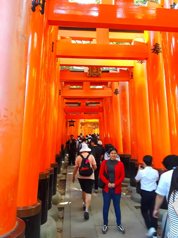 Vermillion torii lining the first path at Fushimi Inari-taisha shrine.