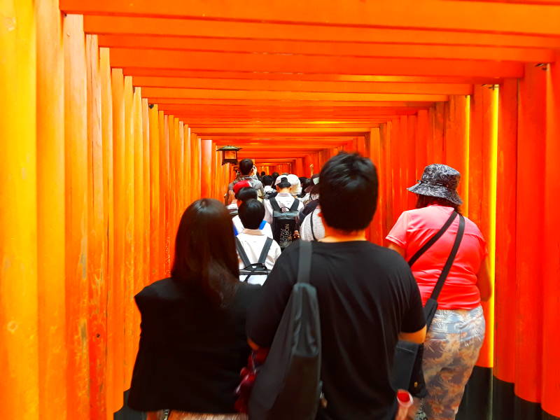 Vermillion torii lining the first path at Fushimi Inari-taisha shrine.