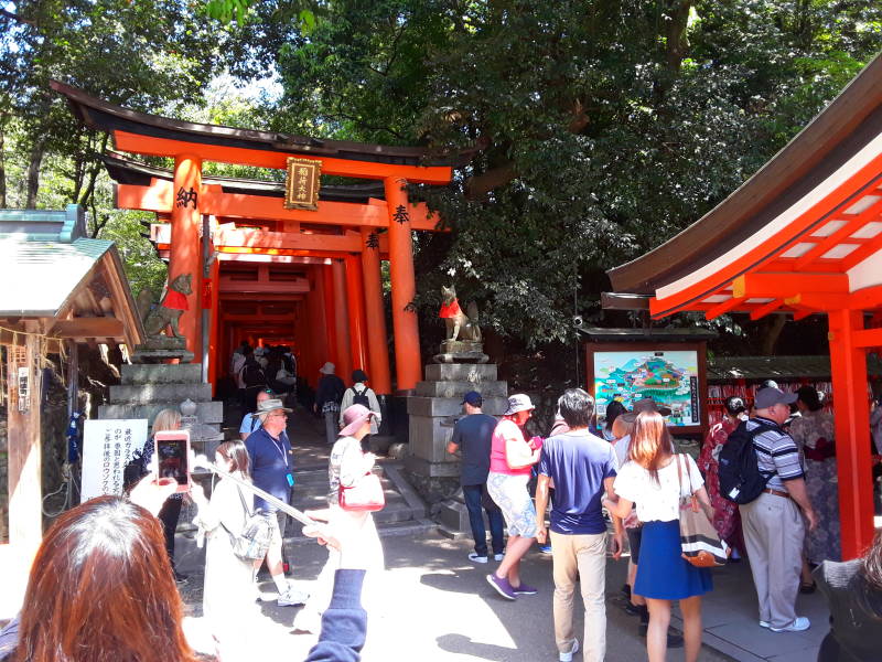 Start of the main path at Fushimi Inari-taisha shrine.
