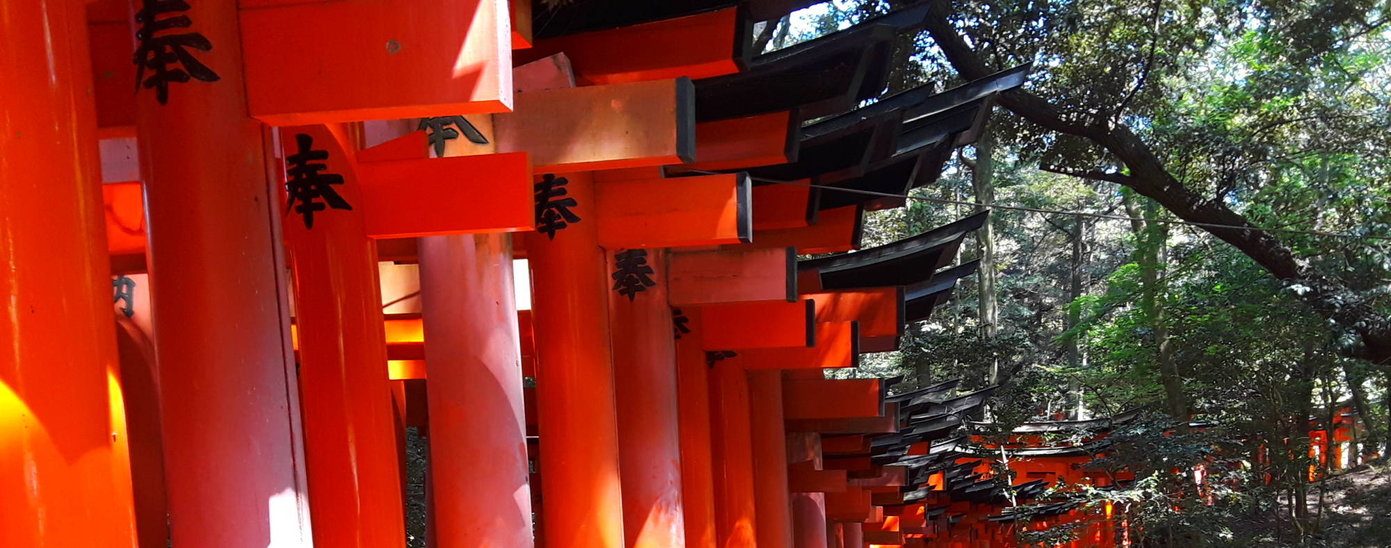 Torii at Fushimi Inari-Taisha, southeast of Kyōto.