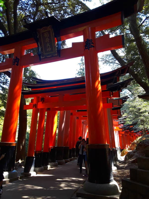 Vermillion torii lining the main path at Fushimi Inari-taisha shrine.