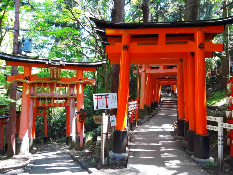 Vermillion torii along the main path at Fushimi Inari-taisha shrine.