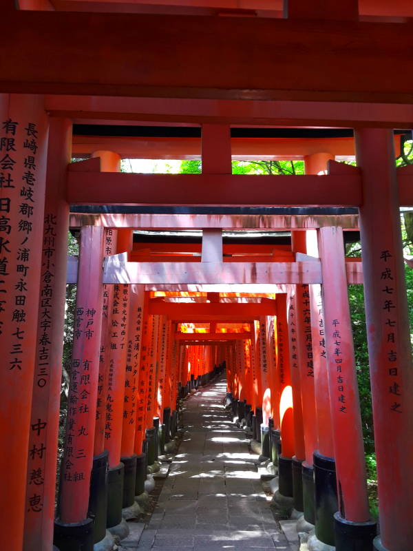 Vermillion torii at the peak of the main path at Fushimi Inari-taisha shrine.