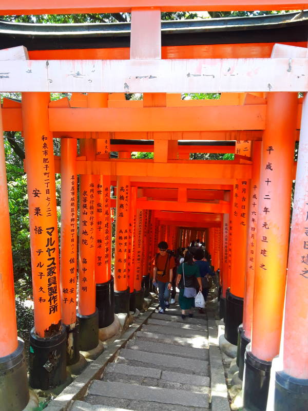 Vermillion torii along the path descending from the peak at Fushimi Inari-taisha shrine.
