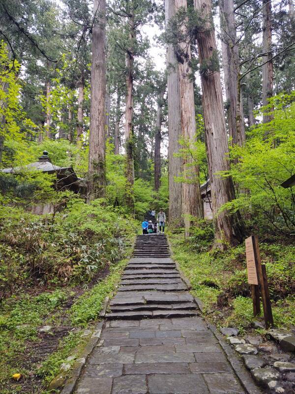 Starting up the Mount Haguro pilgrimage path.