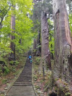 Six people climbing the path up Mount Haguro.