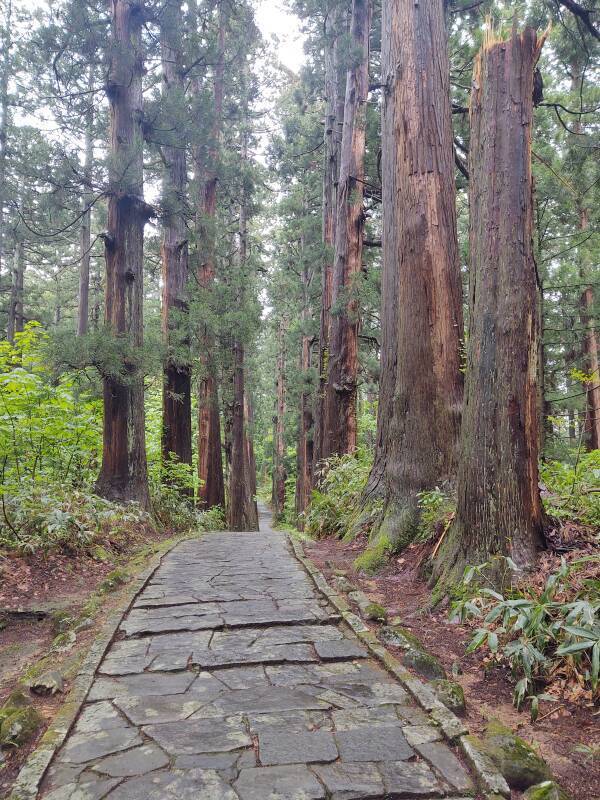 2,446-step pilgrimage path leading up Mount Haguro.