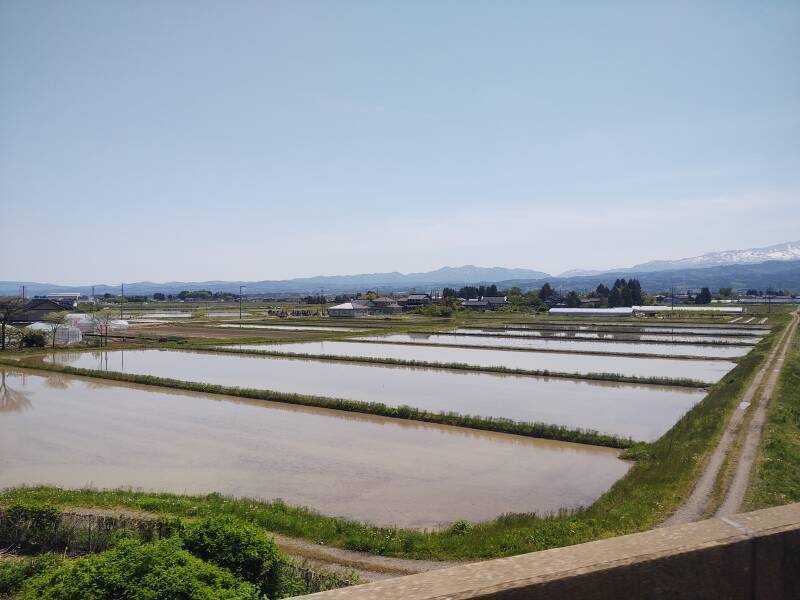 View from the bus from Tsuruoka through nearby agricultural plains: large rice paddies with mountains in the distance.