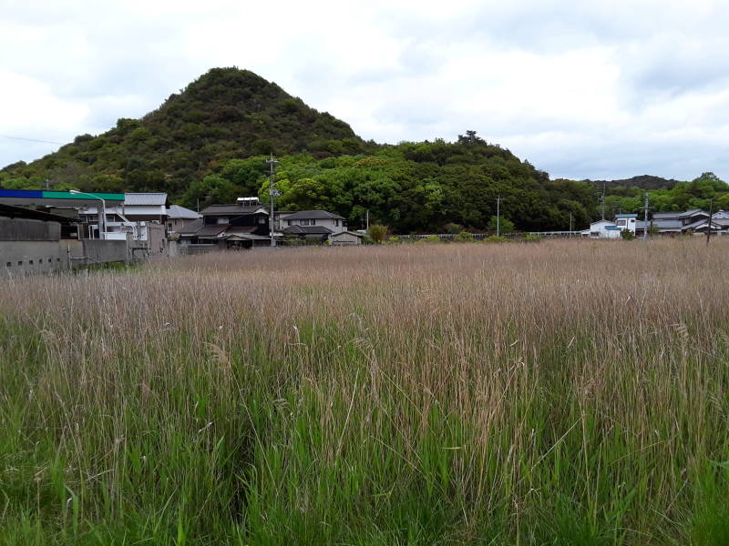 Along the road from Miyanoura to Honmura on Naoshima.