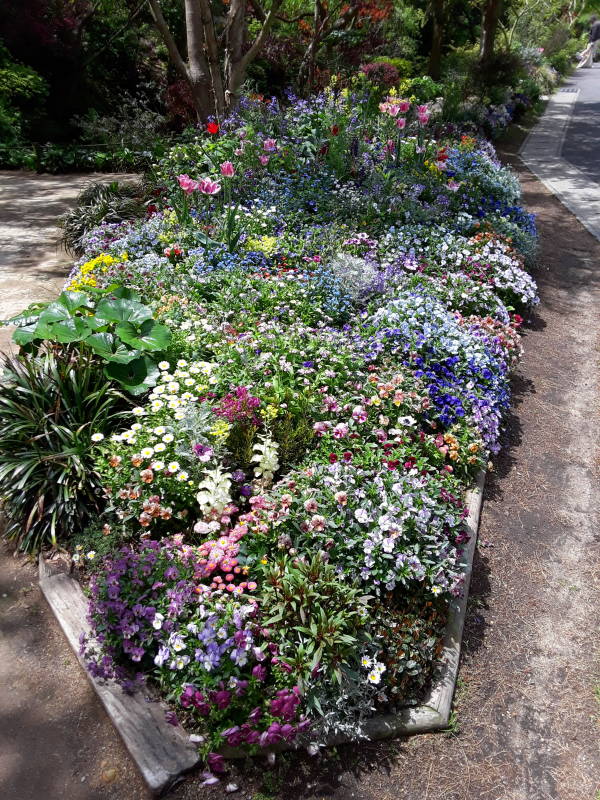 Flowers at Chichu Museum on Naoshima.