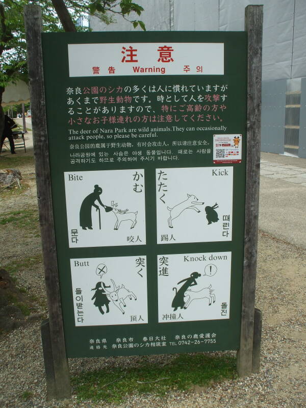 Warning sign about the sacred deer in Nara.