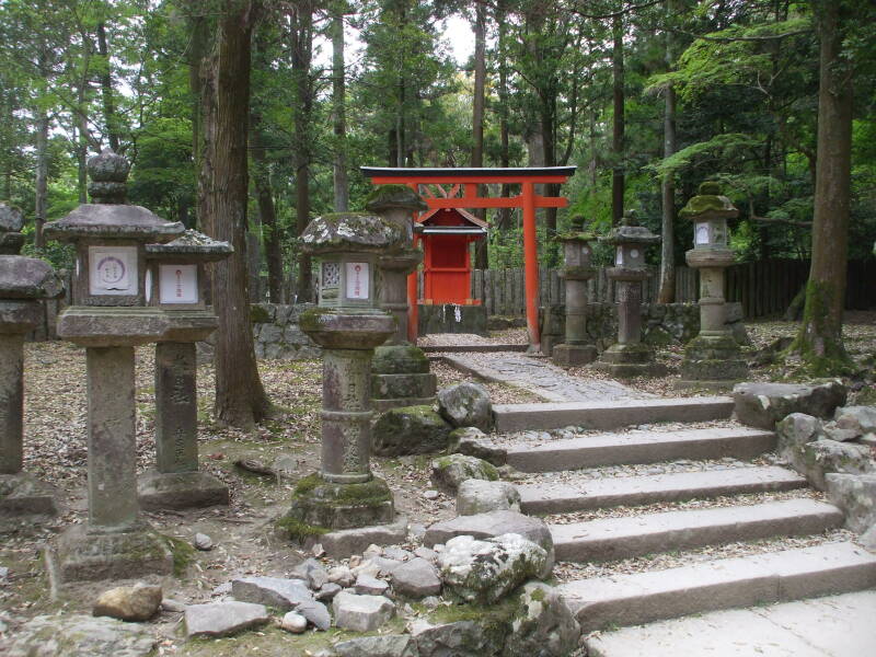 Stone lanterns and torii on the path to Kasuga-taishi shrine
