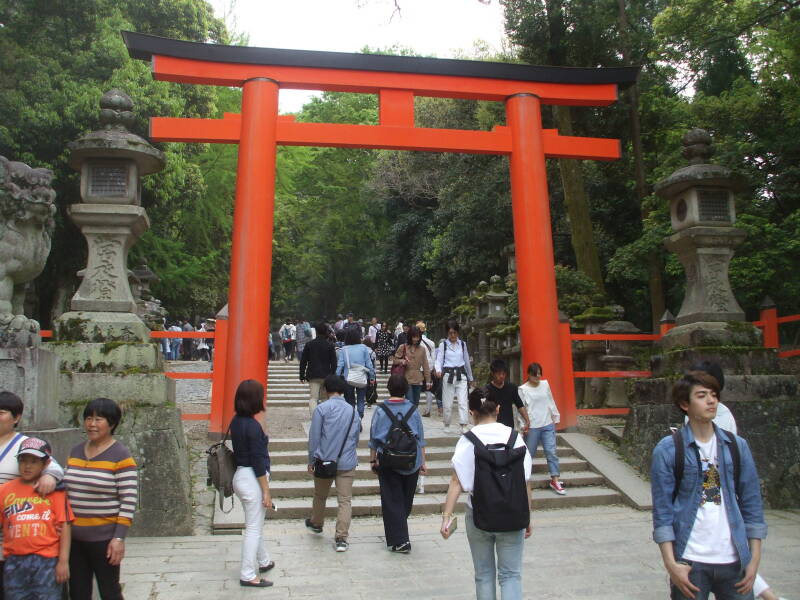 Stone lanterns and torii on the path to Kasuga-taishi shrine