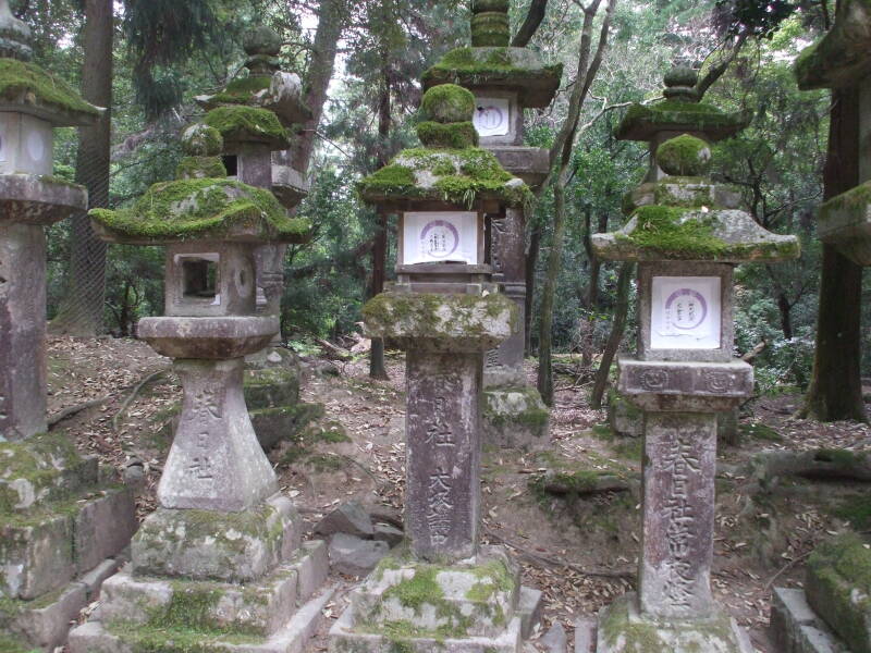 Stone lanterns on the path to Kasuga-taishi shrine