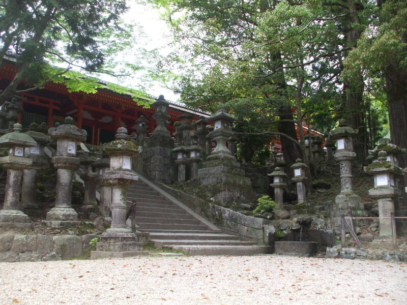 Stone lanterns on the path to Kasuga-taishi shrine