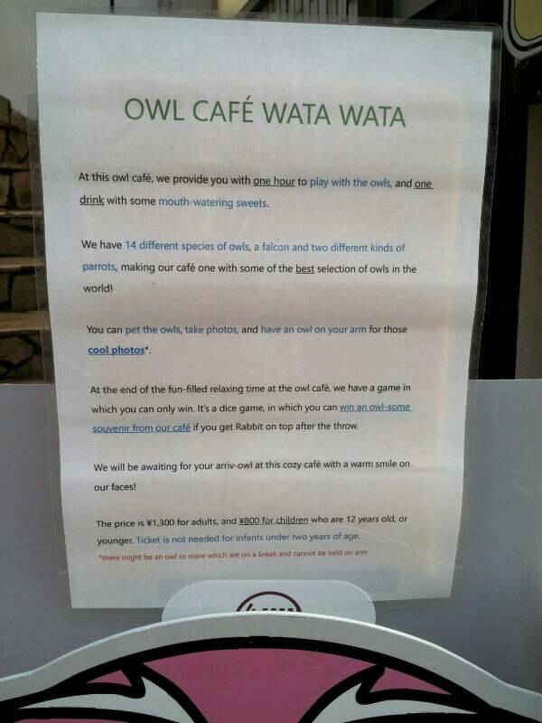 Sign at an owl cafe along the street in Nara.