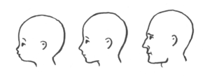 Craniofacial proportions vary between infant, youth, and adult.  Exaggerated child-like features are perceived as 'cuter' and are looked on more favorably, sometimes subconsciously. From https://en.wikipedia.org/wiki/Cuteness