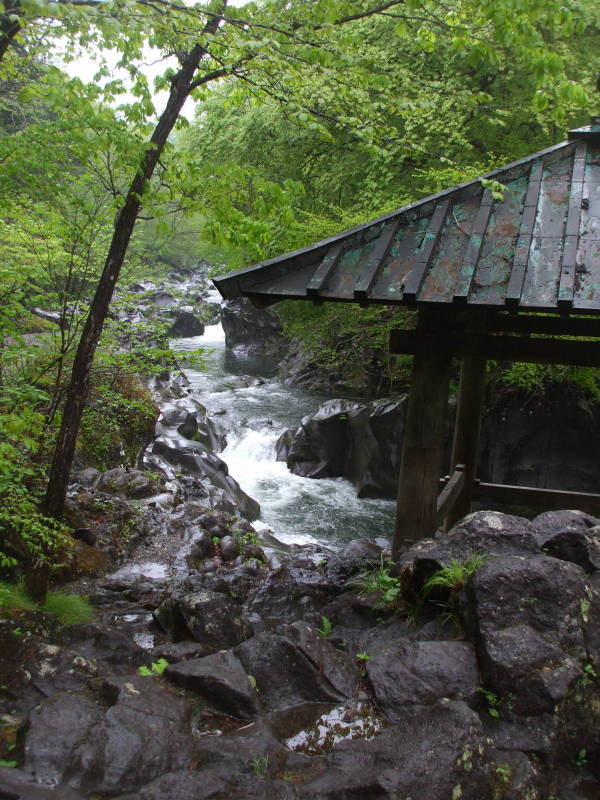 Walking through the Kanman-ga-fuchi abyss outside Nikkō.