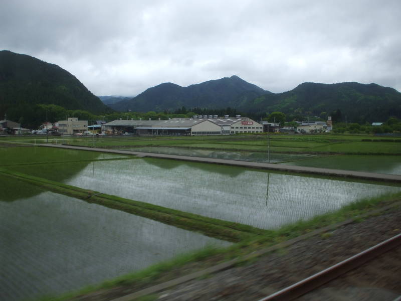 Rice paddies and foothills seen from the train on the way to Nikkō.