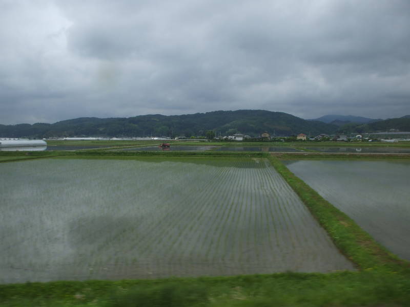 Rice paddies seen from the train on the way to Nikkō.