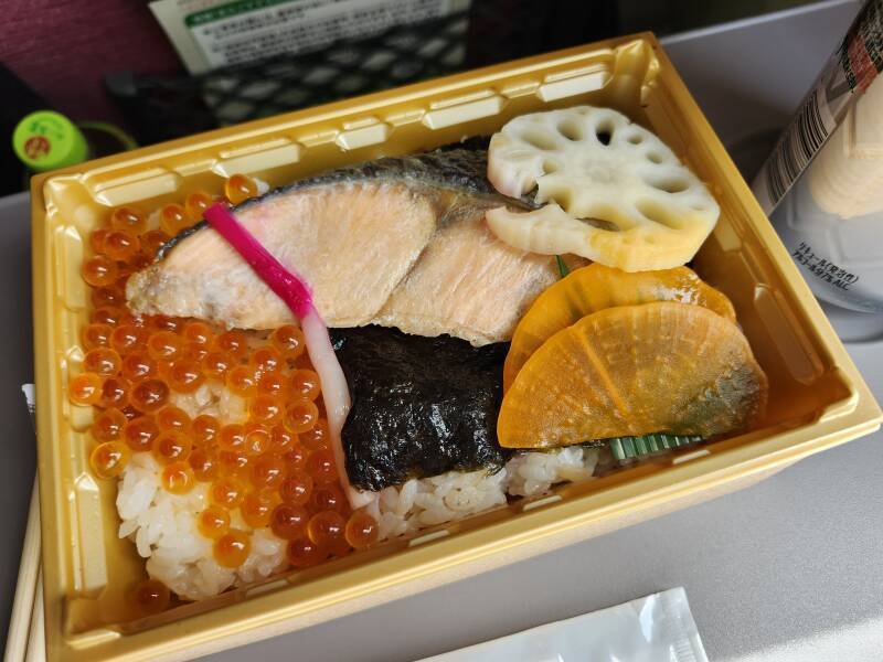 Bentō lunch on board the train.