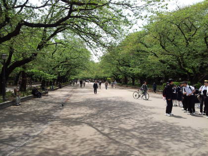 Ueno Park in Tōkyō.