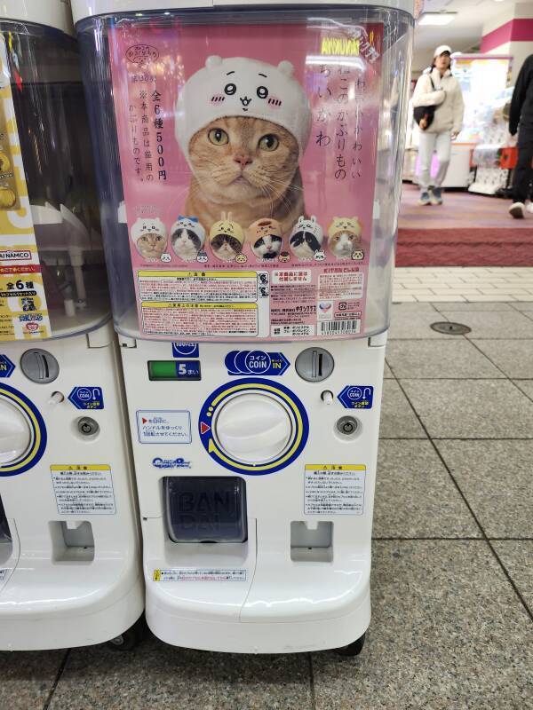 Cat Hat capsule machine.