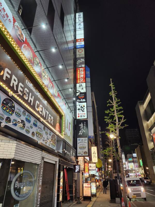 Susukino entertainment district.