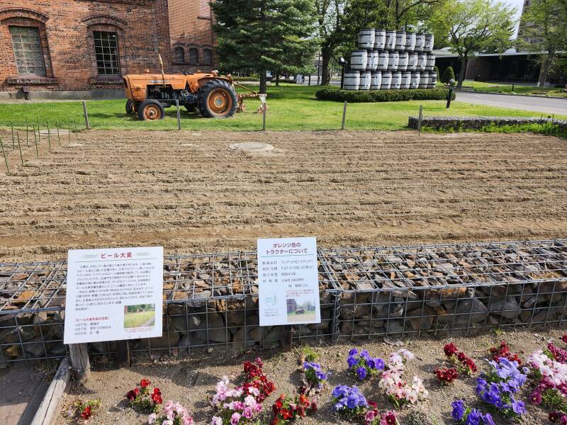 Tractor and field of hops and grains at Sapporo Beer Museum.