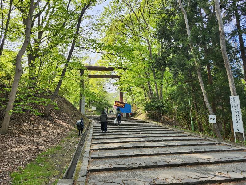 Large torii near the Hokkaidō Shrine.