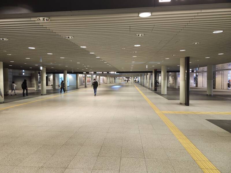 Through the 1.5-kilometer-long Pole Town from my lodging on the covered Tanukikoji shopping street.