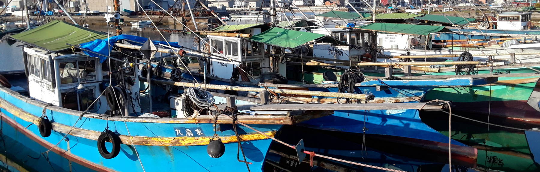 Fishing boats in the harbor at Takamatsu.