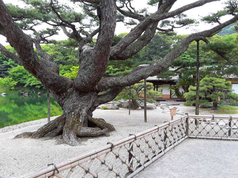 Ritsurin Garden in Takamatsu.