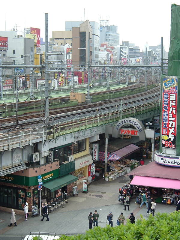 Standing at the south end of Ueno Park looking at Ameya-Yokochō market under the Yamanote Line tracks near Ueno Station. A train crosses over the market.