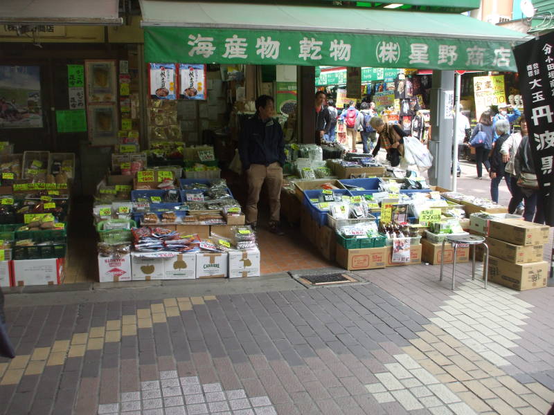 Shops in Ameya-Yokochō market under the Yamanote Line tracks.