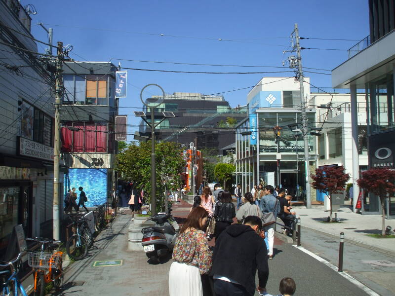 Walking north on Cat Street in Harajuku.