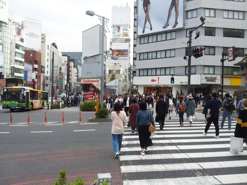 Omotesandō in Harajuku.