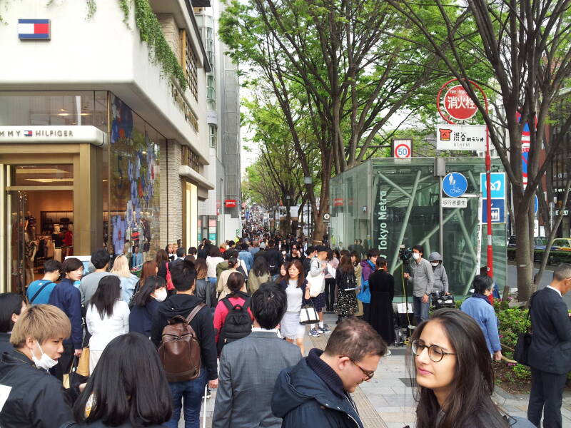 Walking east on the north side of Omotesandō in Harajuku.