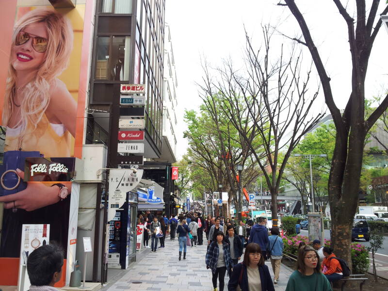 Walking east on the north side of Omotesandō in Harajuku.