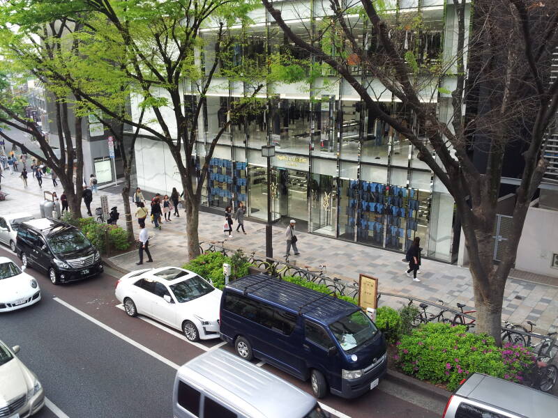 Crossing over Omotesandō in Harajuku.