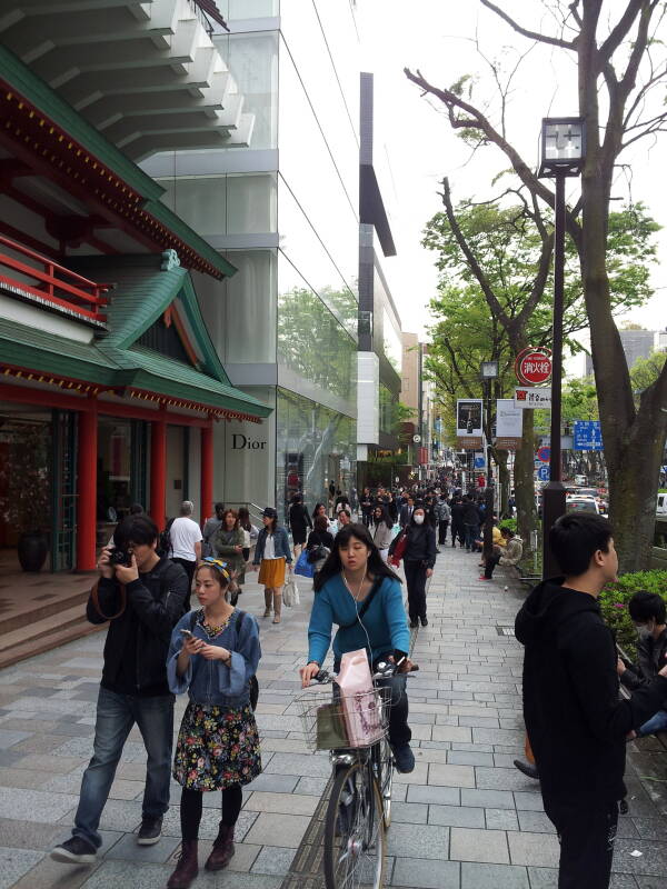 Walking west on the south side of Omotesandō in Harajuku.