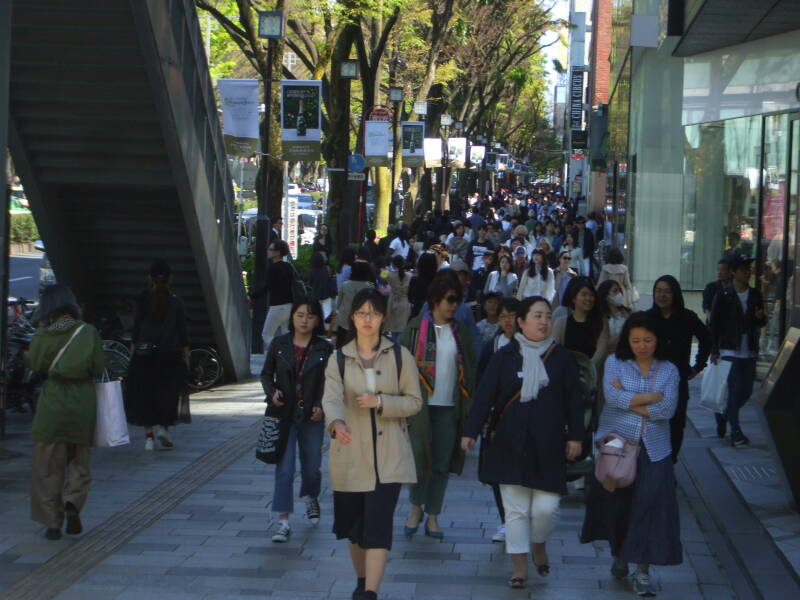 Walking west on the south side of Omotesandō in Harajuku.