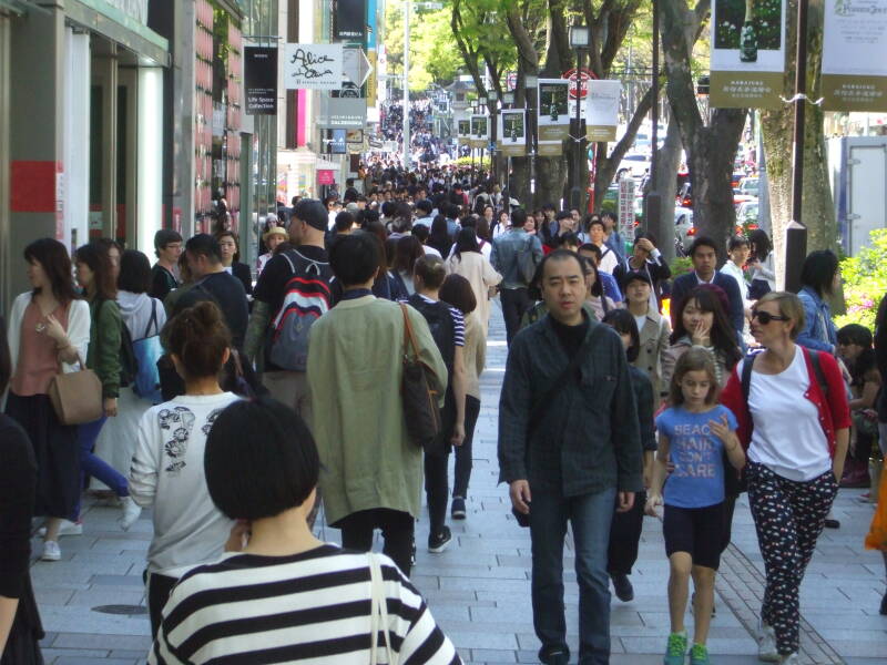 Walking west on the south side of Omotesandō in Harajuku.