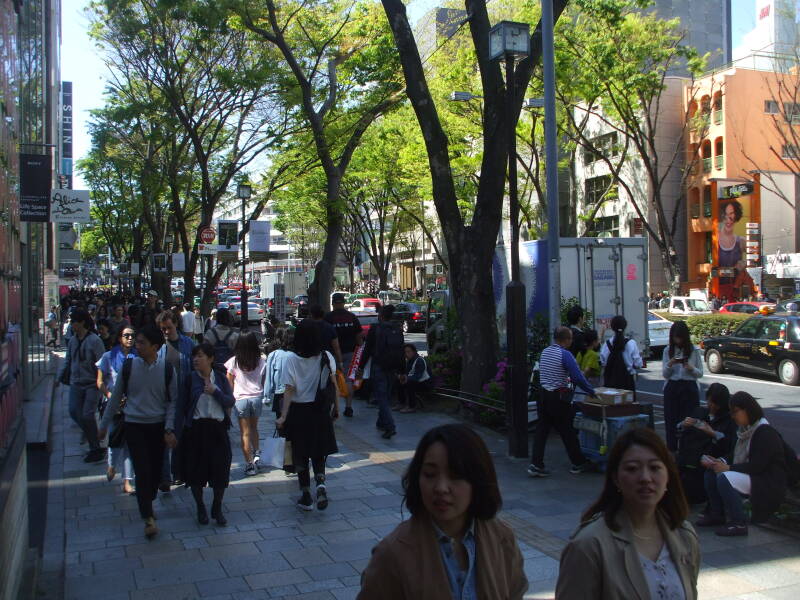 Walking west on the south side of Omotesandō in Harajuku.