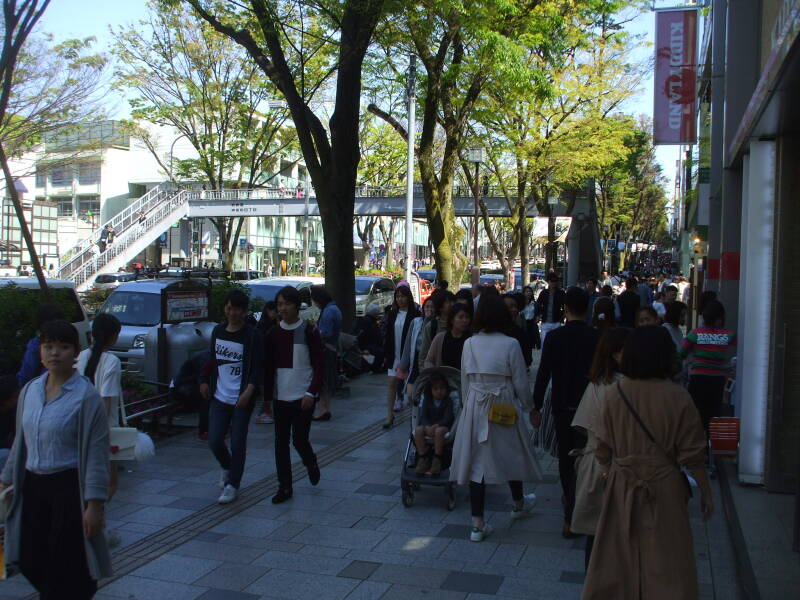 Walking west on the south side of Omotesandō in Harajuku.