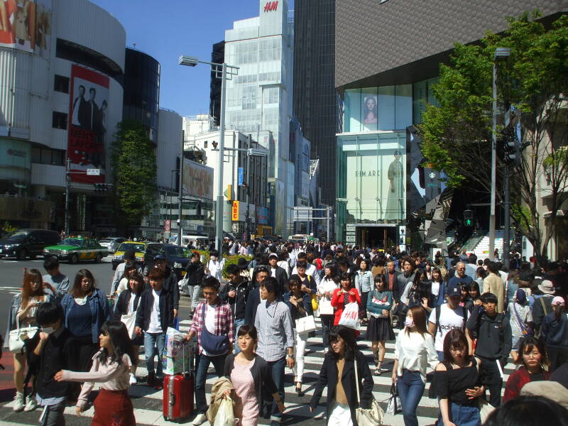 Omotesandō in Harajuku.