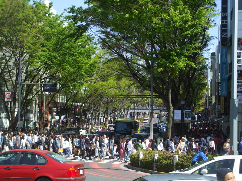Walking west on the south side of Omotesandō in Harajuku.