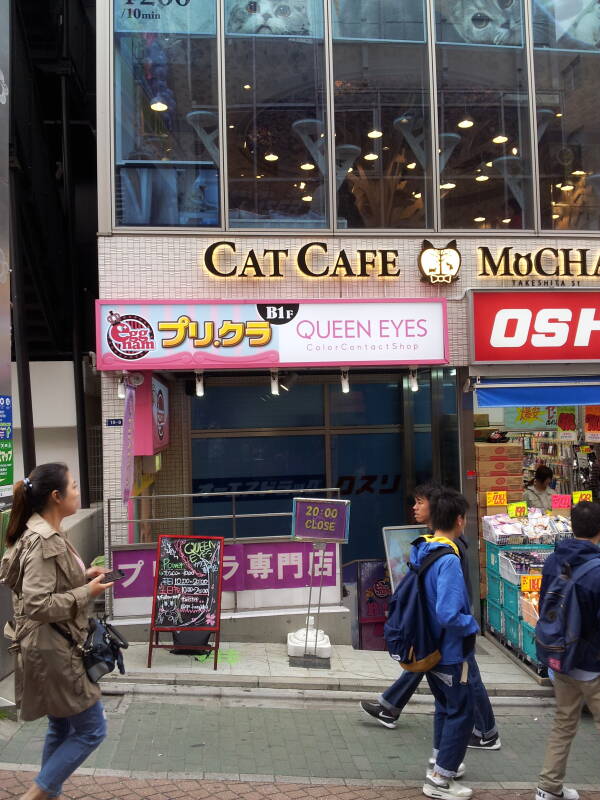 Cat café and Queen Eyes colored contacdt shop on Takeshita-dori or Takeshita Street in Harajuku.