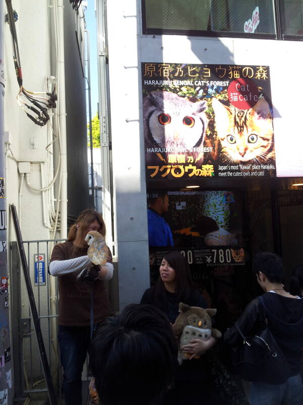 The owl wrangler at the Harajuku Bengal Cat's Forest owl café on Takeshita-dori.