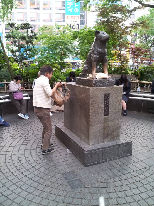 Statue of Hachikō at Shibuya Station.